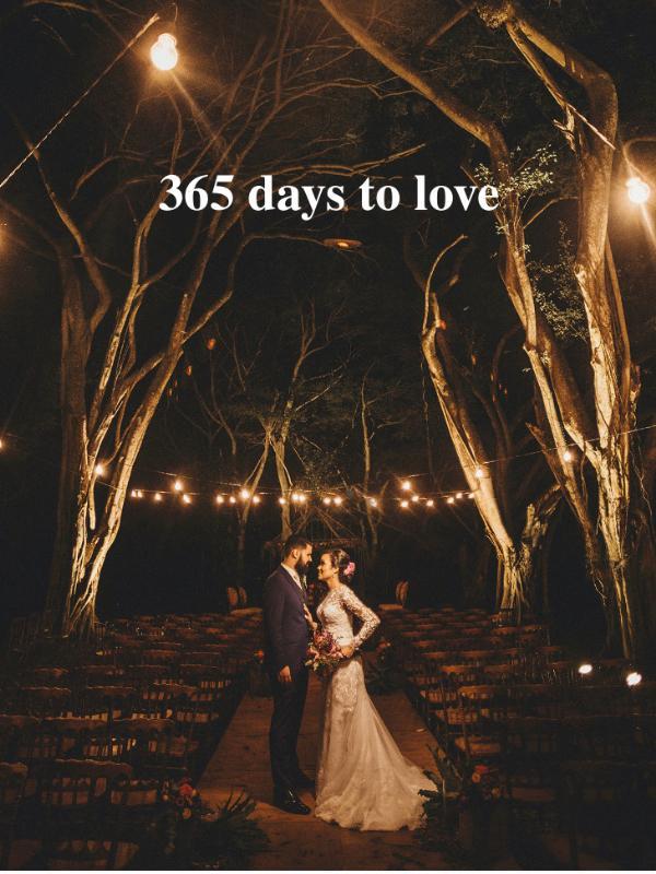 365 days to love