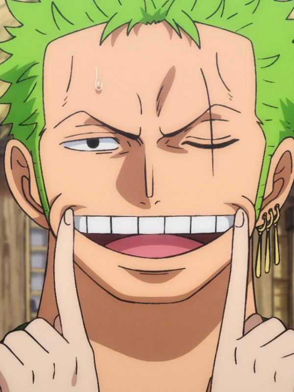 One piece: Pirate hunter system