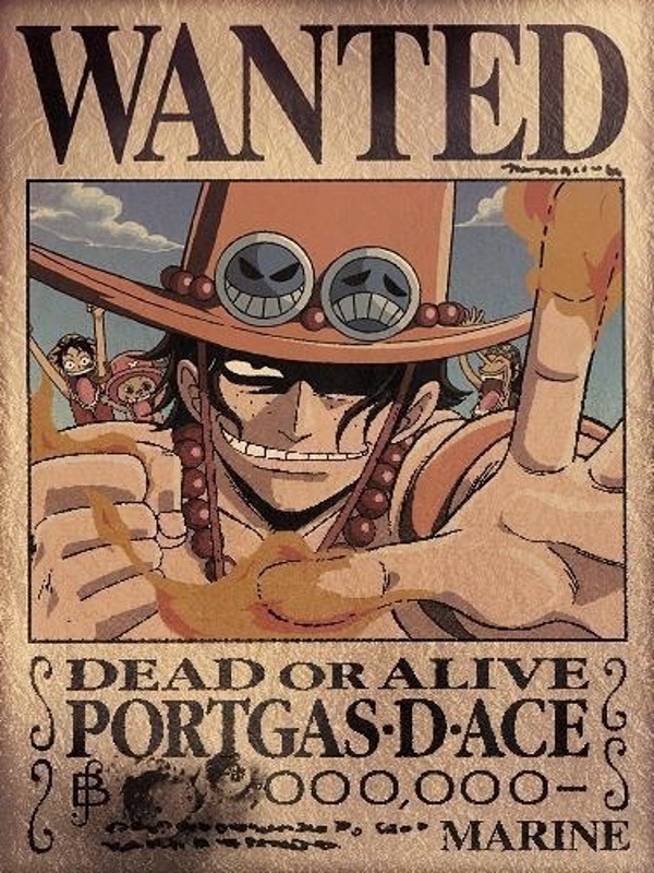 One Piece: Supreme Haki