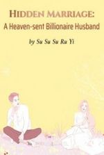 Hidden Marriage: A Heaven-sent Billionaire Husband