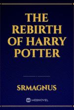 The Rebirth of Harry Potter