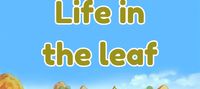 Konoha : Life in the Leaf