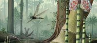 The airplane to Carboniferous era